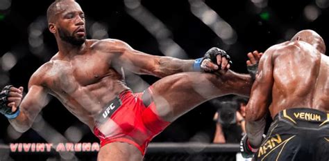 ufc 278 highlights.